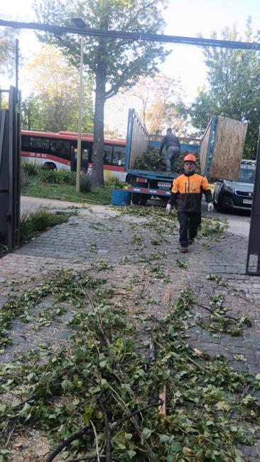 Retiro de Ramas y Desechos Verdes en Chile | Vertedero Autorizado