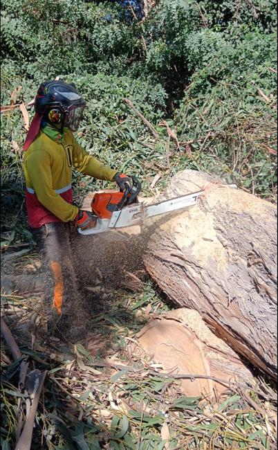 Maquinaria Profesional para Podas y Talas | Chile