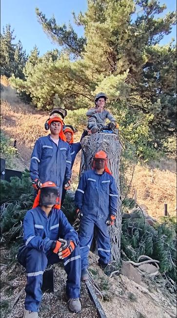 Equipo de Profesionales en Podas y Talas | Presencia Nacional